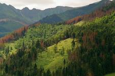 Tatry