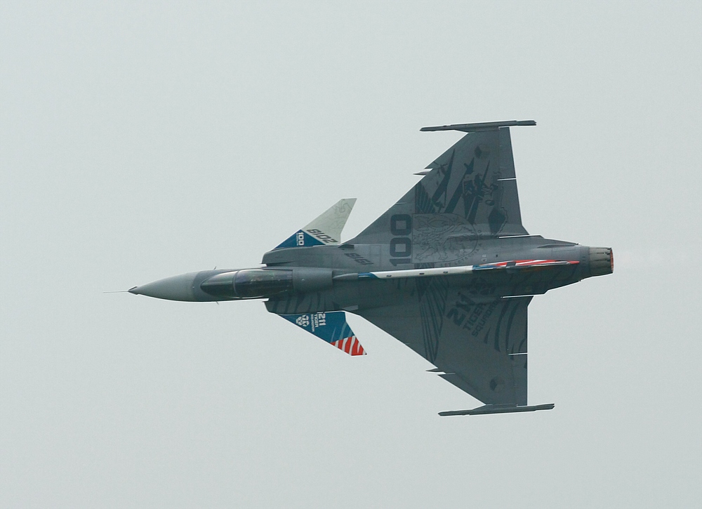 JAS 39 gripen