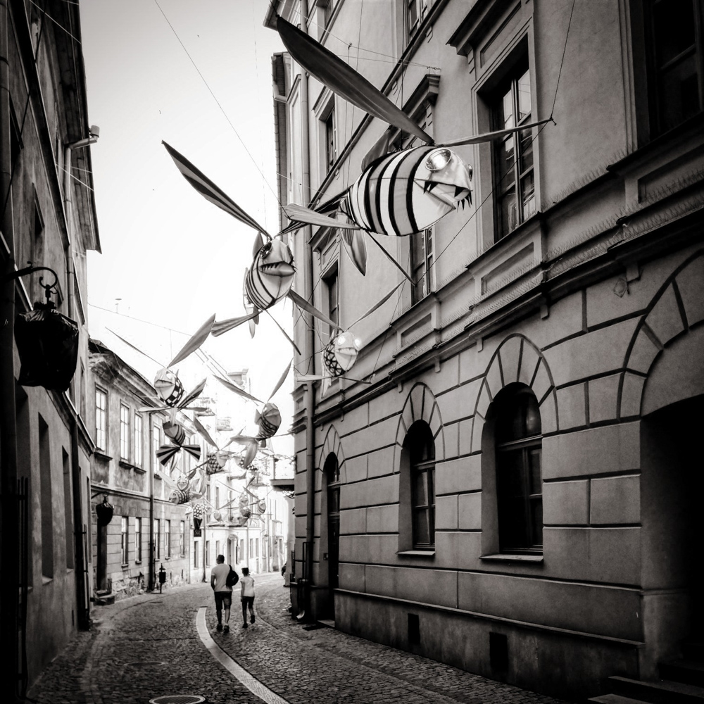 Lublin