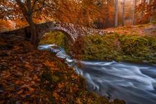 Foley\'s bridge