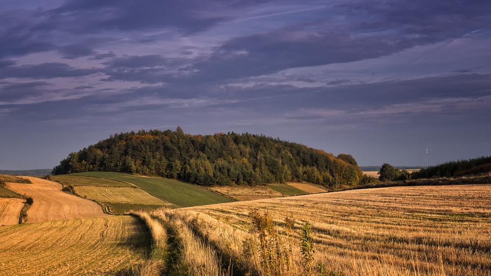 Jurajska jesień