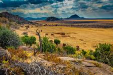 Park Tsavo 2018