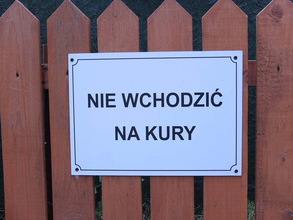 Nie wchodzić na kury