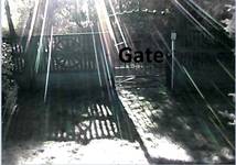 Gate