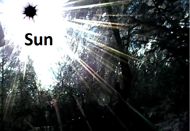 Sun