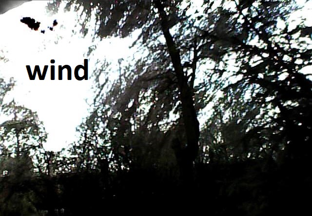 Wind