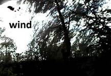 Wind
