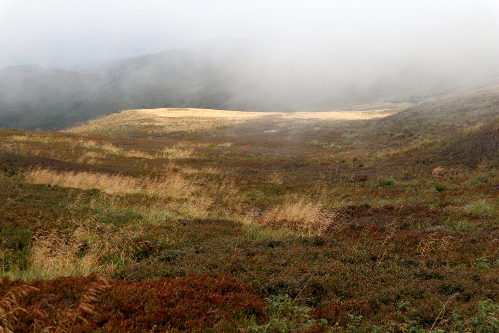 Moje  Bieszczady