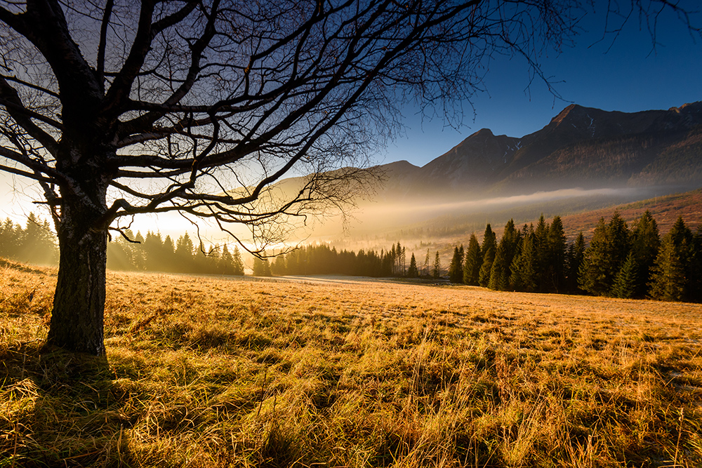 Tatry Bielskie