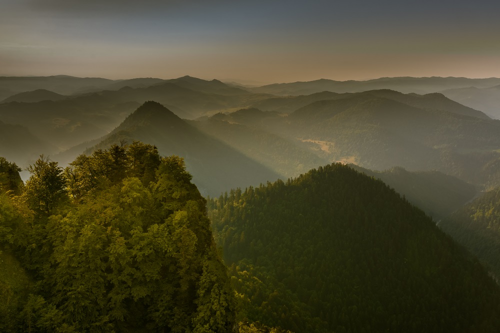 PIENINY...