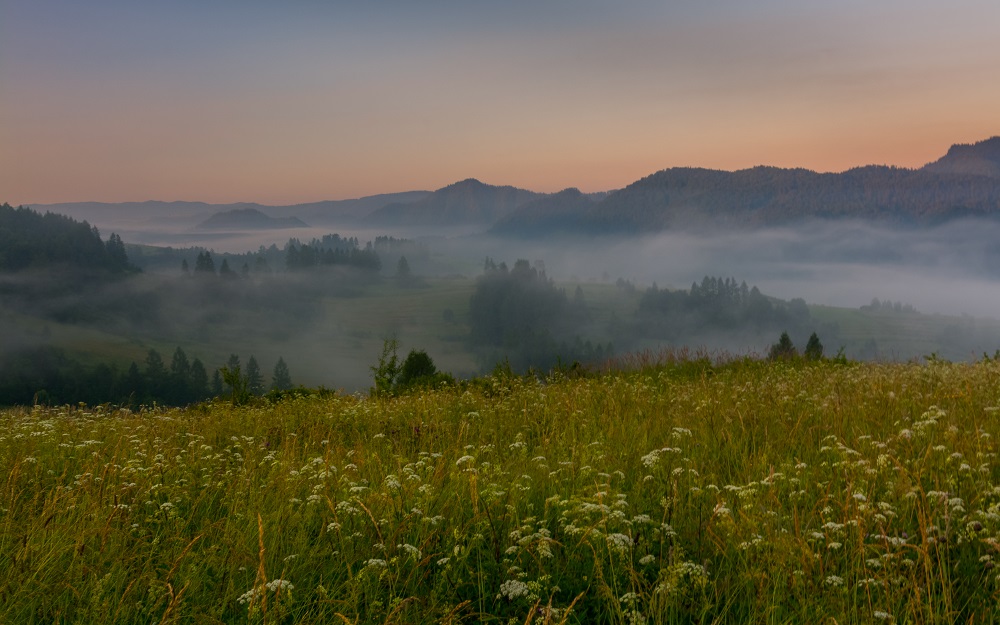 PIENINY...