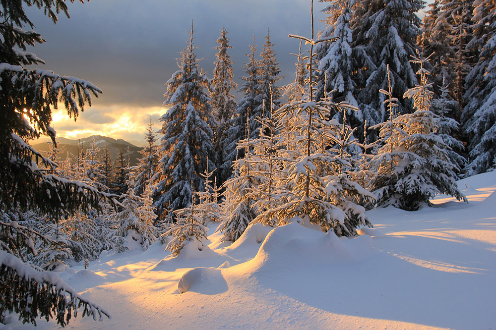 Karpaty. Stanimir.