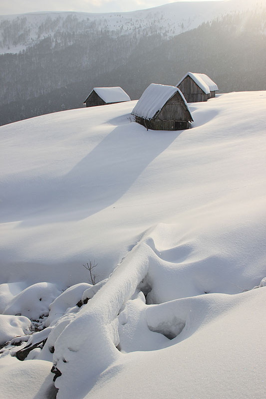 Karpaty, Svidovec/