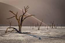 Deadvlei