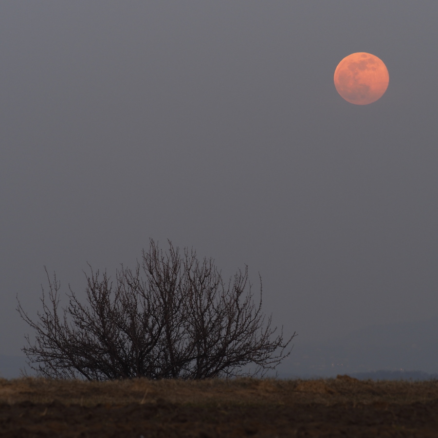 Snow Moon