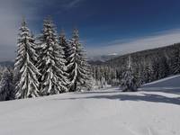 Widok na Babią Górę