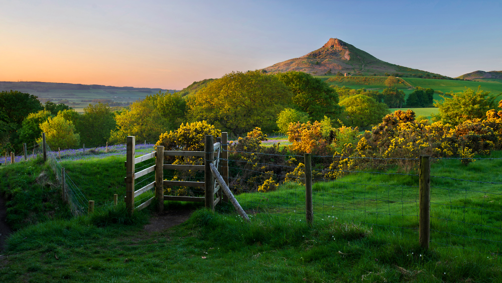 Roseberry Topping