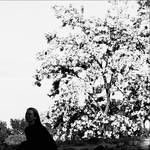 Girl in a Blooming Orchard 2