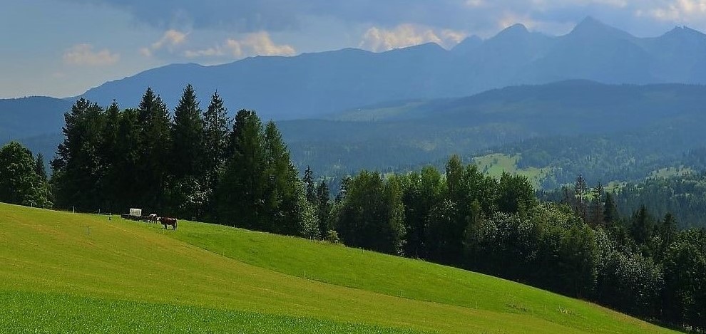 Latem na Podhalu