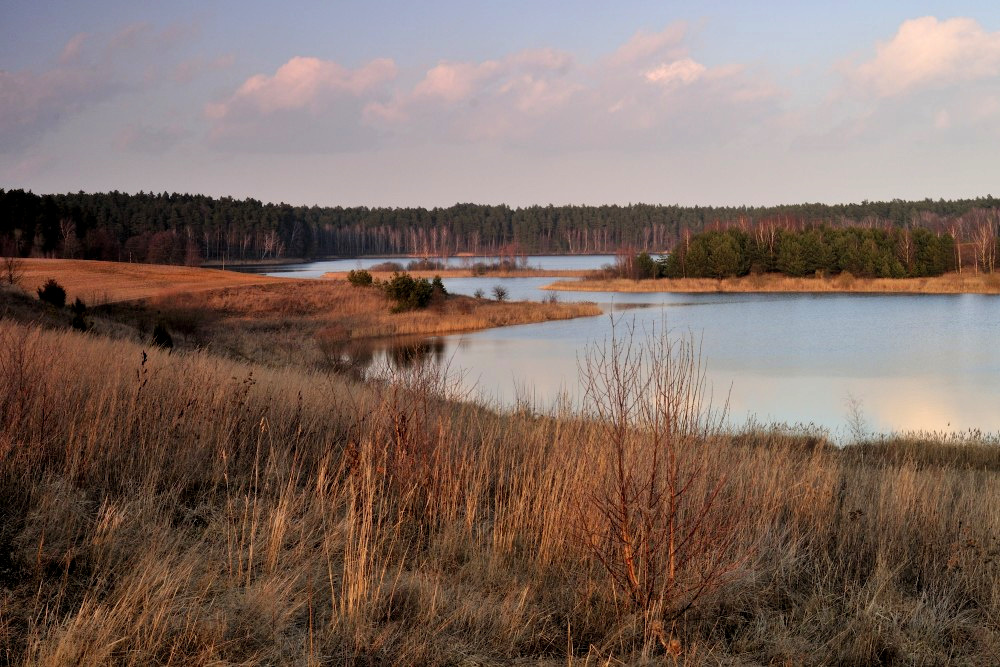 Bory Tucholskie.