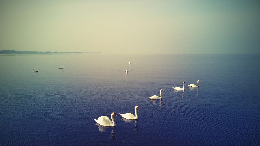 Antrim -Lough Neagh - N.Ireland