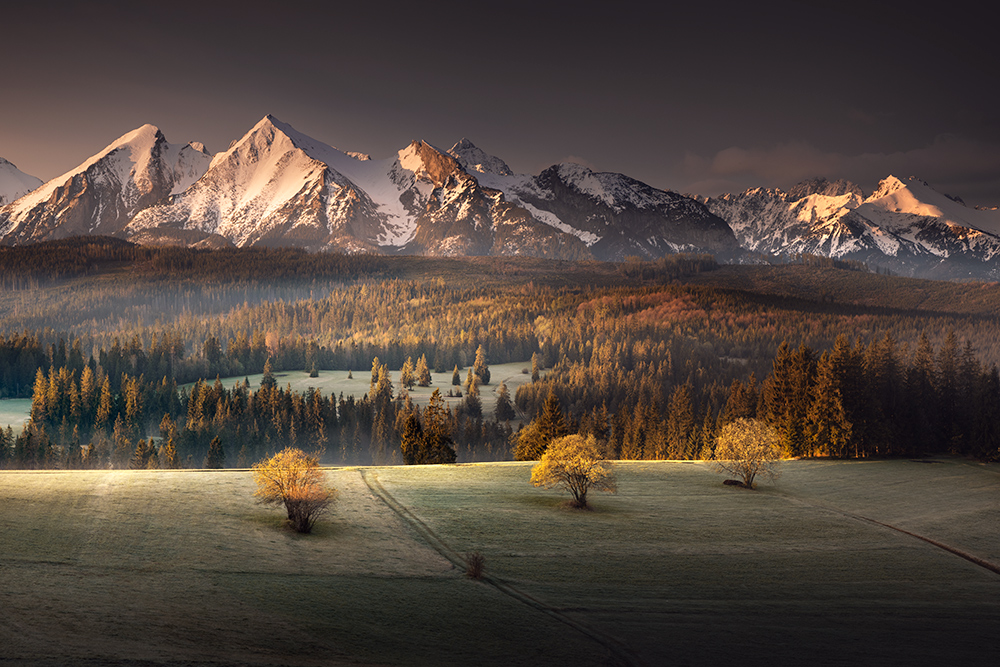 Tatry z Łapszanki