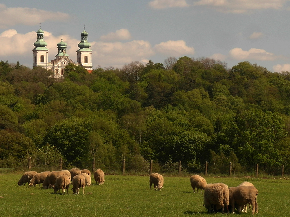 Krakowskie Bielany