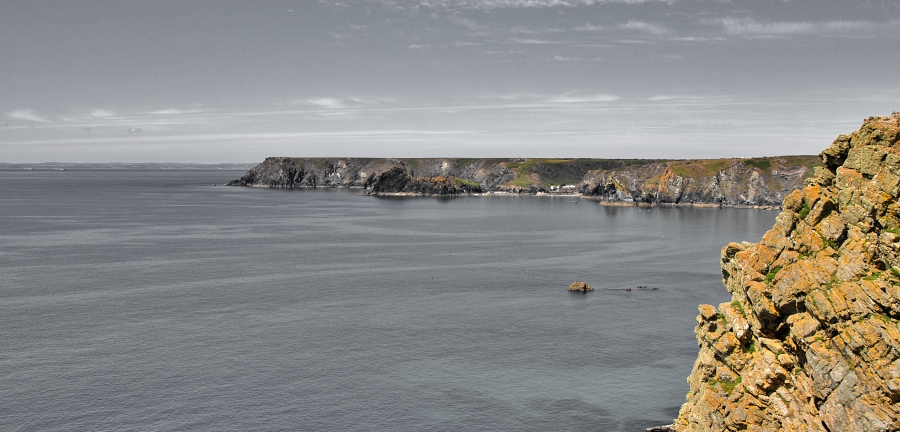 Lizard Point