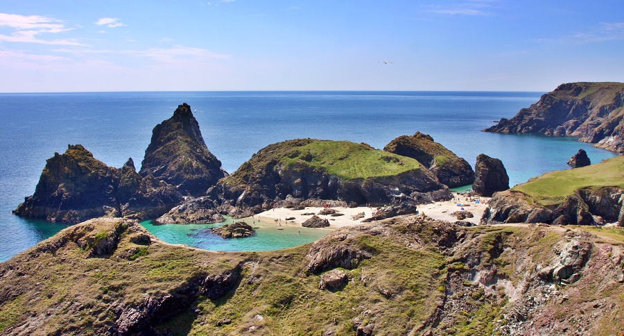 Lizard Point III