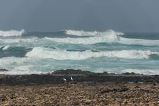 Podróże - Fuerteventura - Ocean Atlantycki