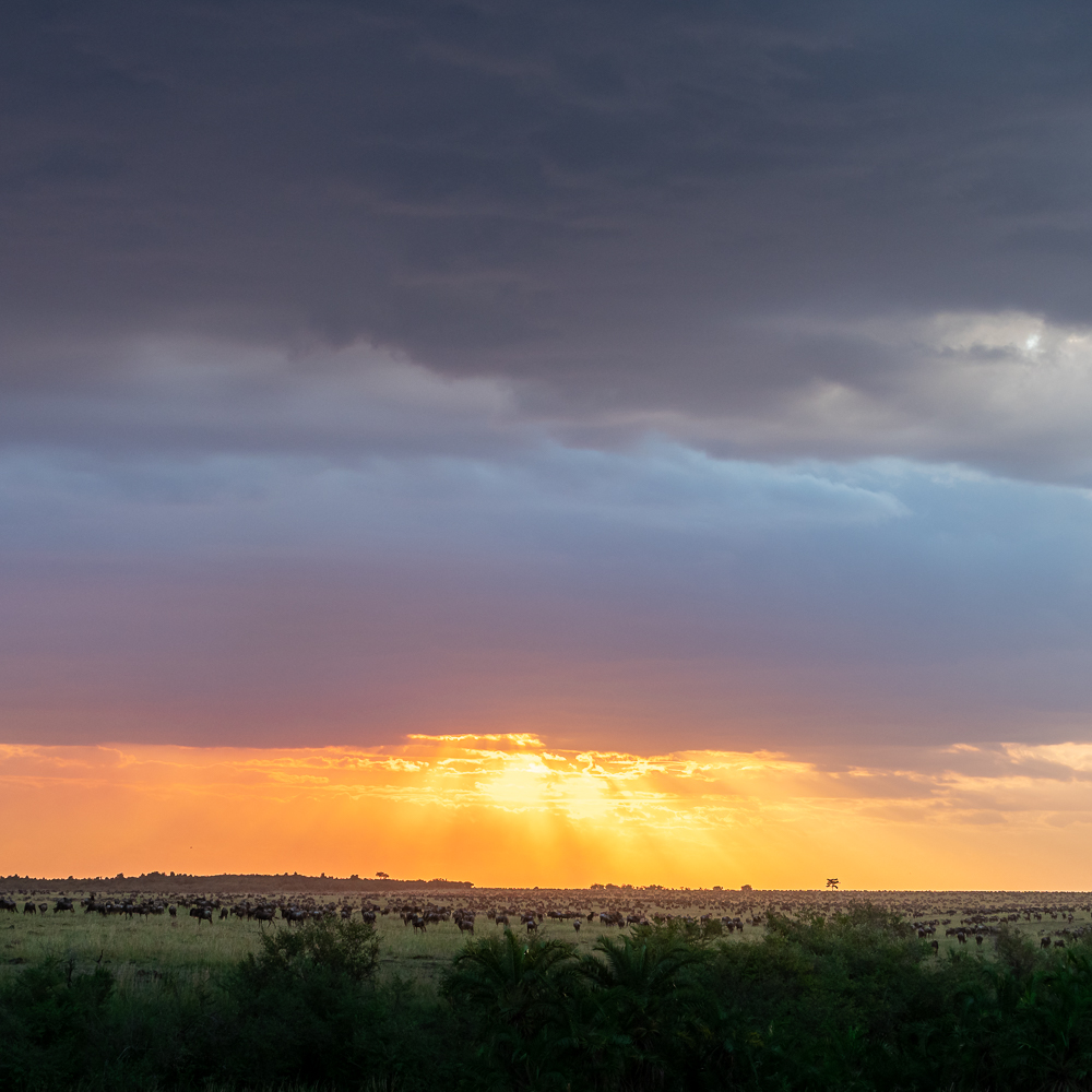 Zachód słońca w Serengeti