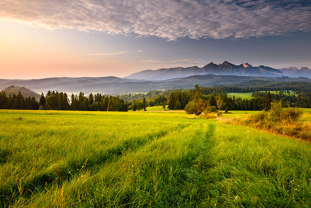 Tatry