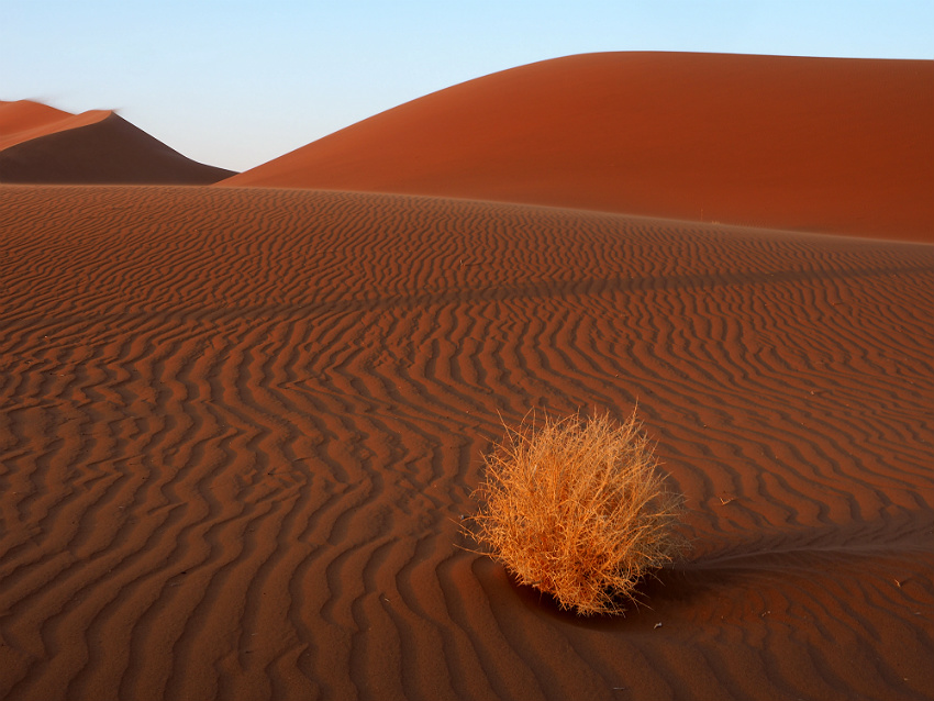 Namib