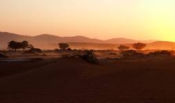 Namib