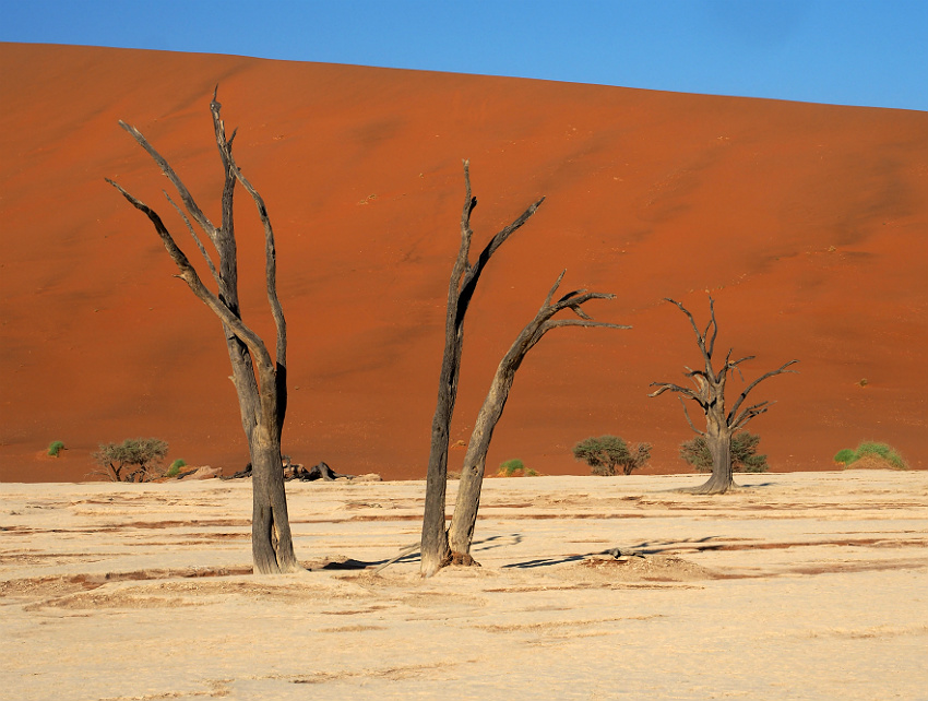 Dead Vlei