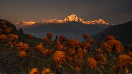 MARZENIA SIE SPELNIAJA... ;-) (od lewej, Gurja-7193m,Dhaulagiri 4,5,3,Dhaulagiri 2-7751m,Dhaulagiri 1-8164m,Tukuche Peak-5950m)