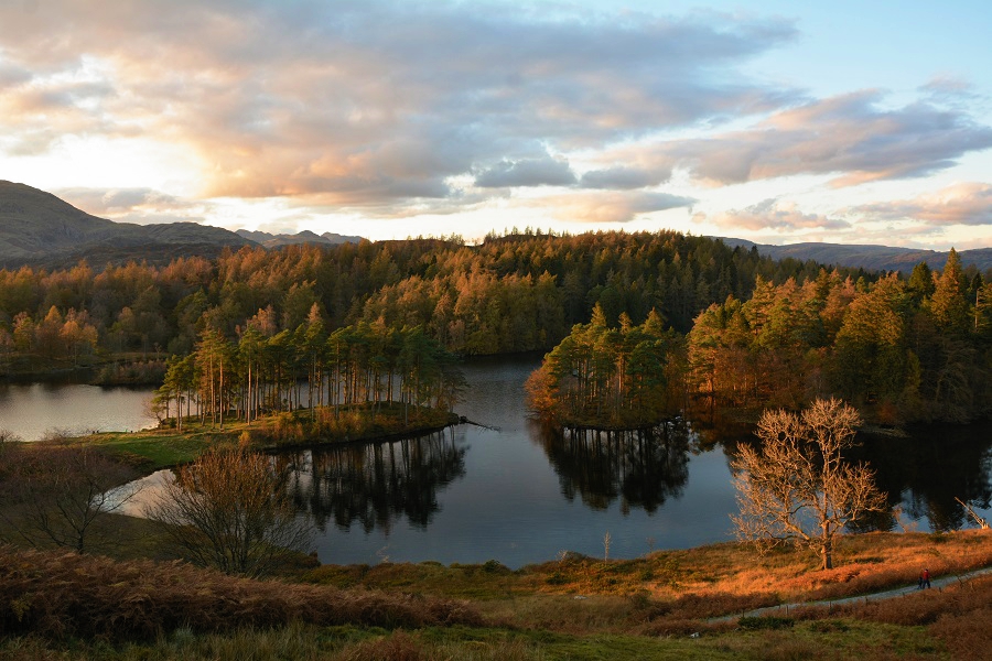 Tarn Hows