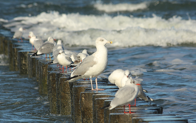 Podróże - Ustka