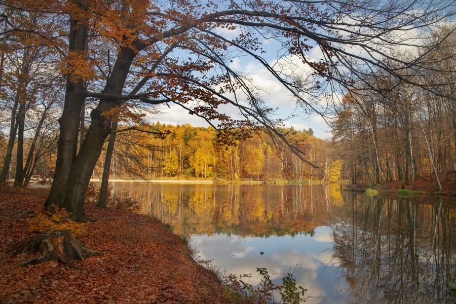 Jesień nad Balatonem