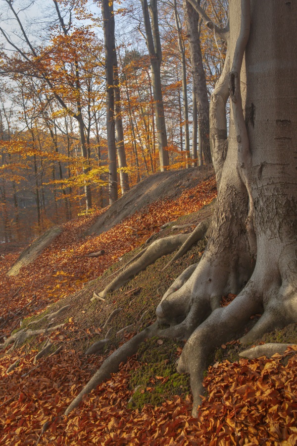 Jesień nad Balatonem 3