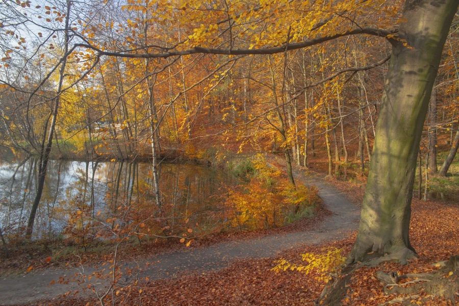 Jesień nad Balatonem 4