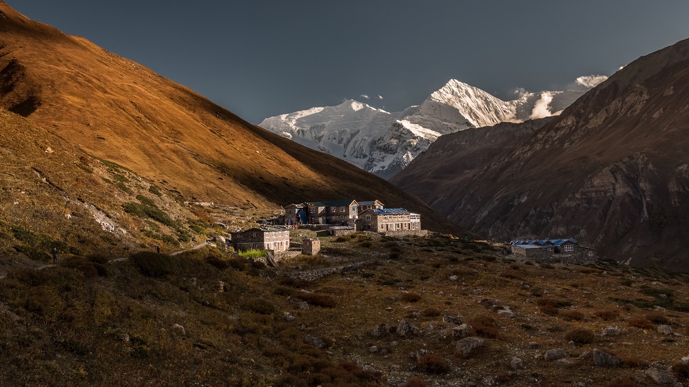 Ledar village, 4200m, Himalayas, Nepal  Annapurna circuit trek with view of snowcapped Gangapurna peak,