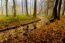 Park Zielona w Dąbrowie Górniczej