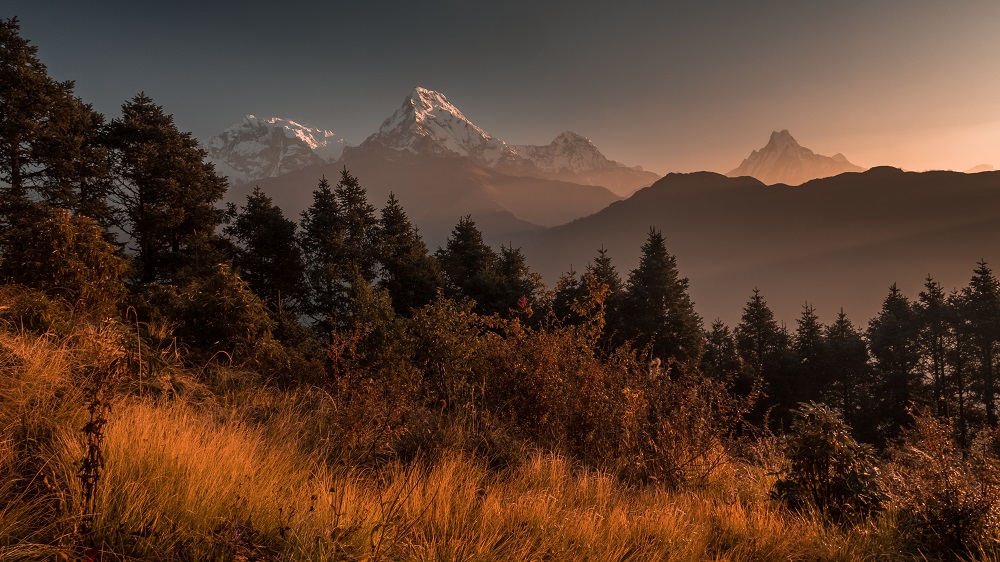 Od lewej;Annapurna 1(8091mnpm),Annapurna South (7219mnpm),Hiunhuli(6441mnpm),Machhapuchhre(6997mnpm)