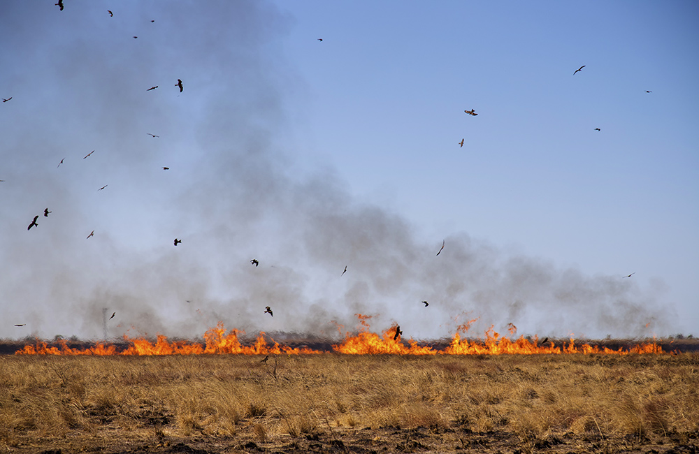 Burning Australia