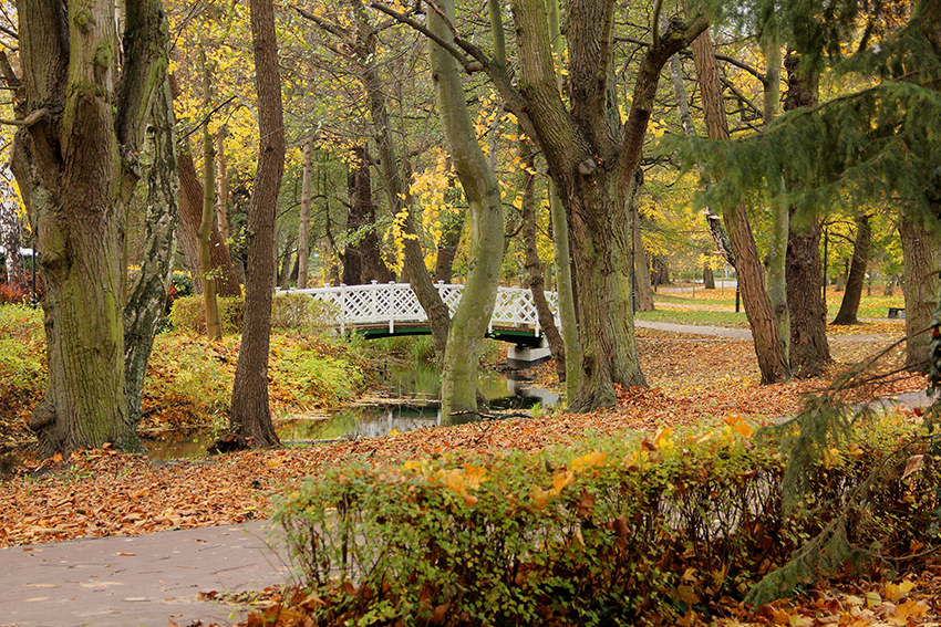 Podróże - Gdańsk