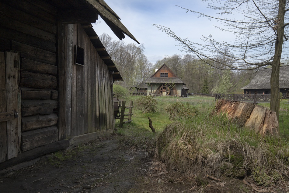 Skansen w Pszczynie