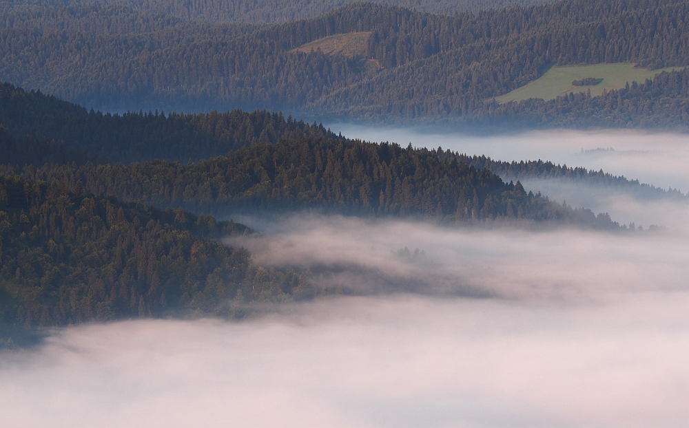 Pieniny