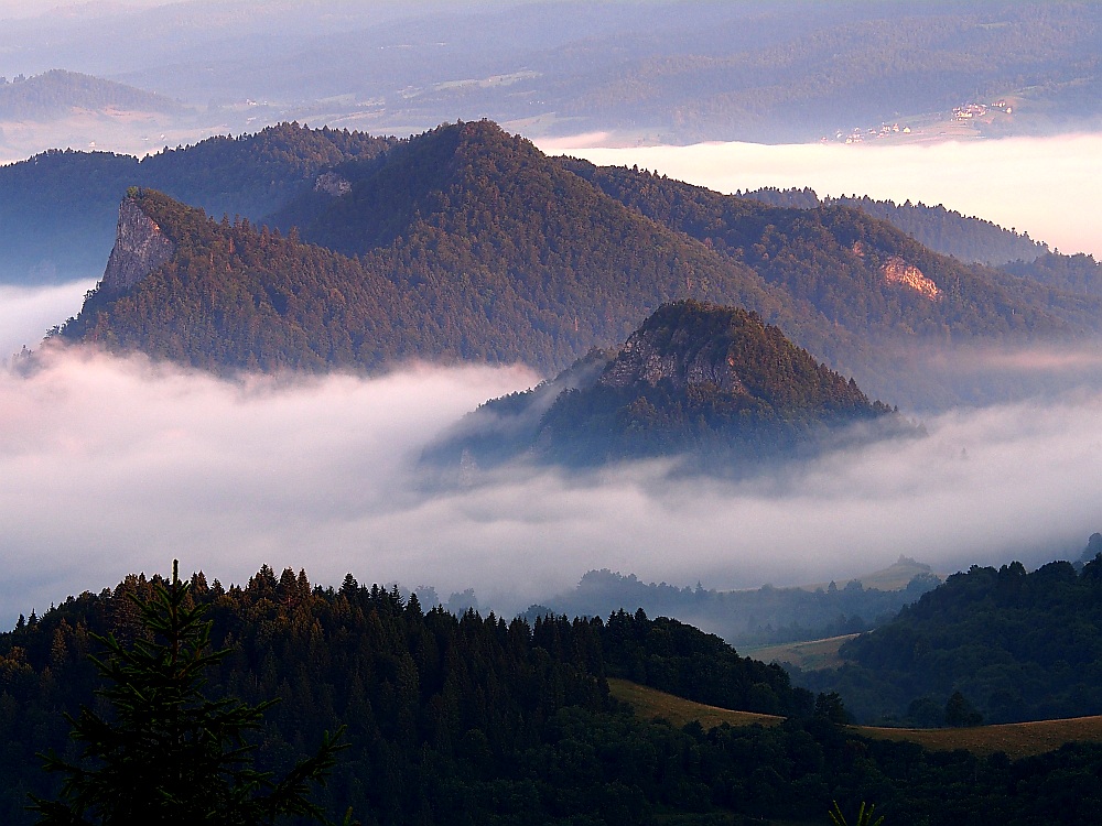 Pieniny