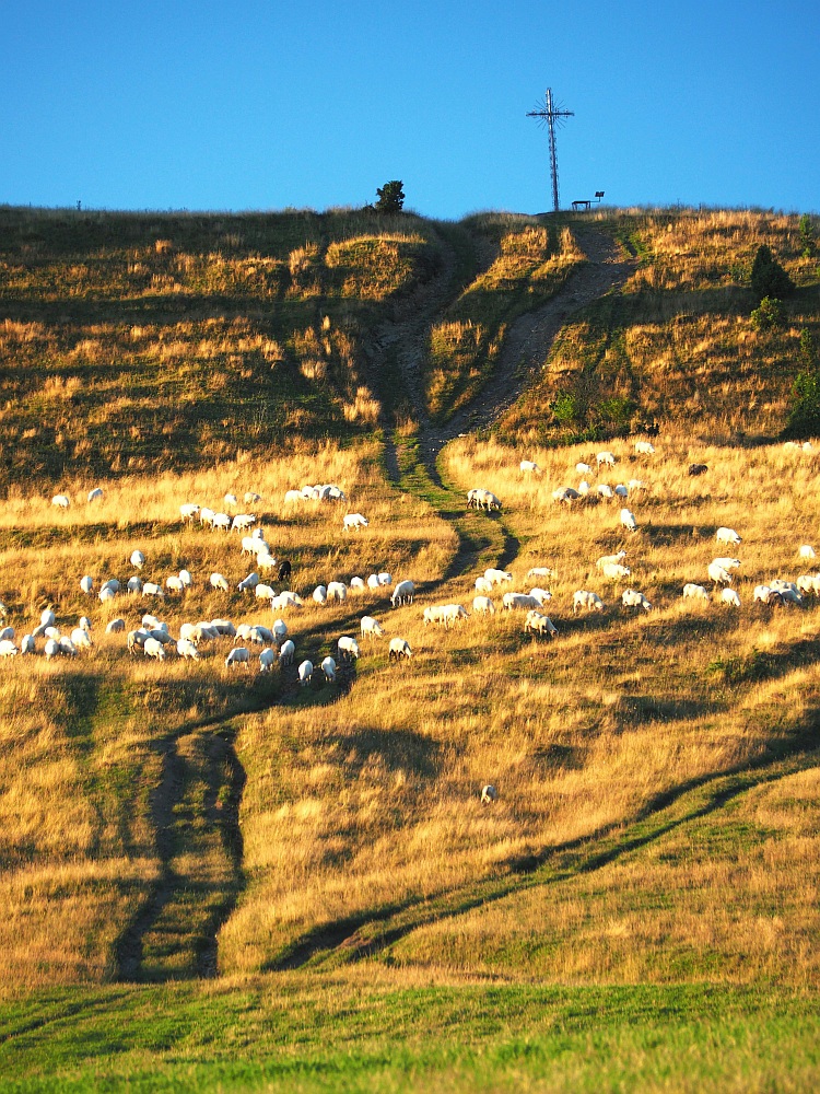 Drogi do nieba